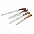 4 Full Handle Kitchen Knives, Berti Exclusive for Viadurini - Caravaggio