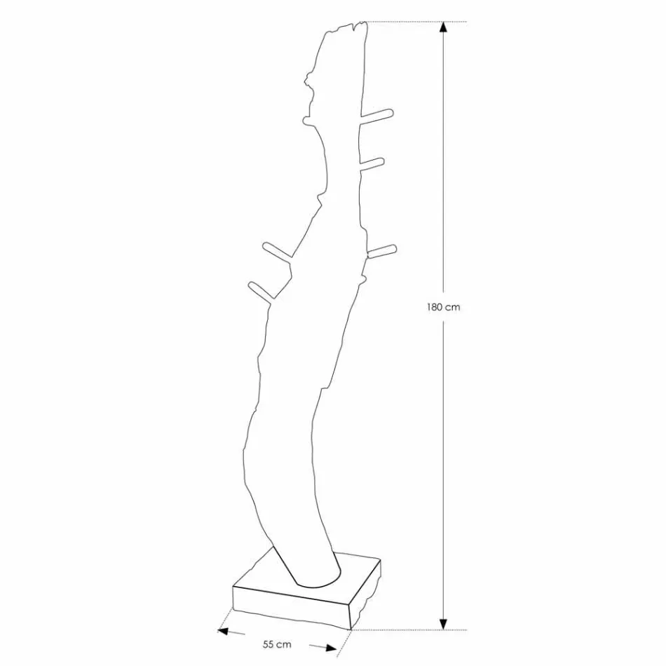 Coat Stand with Structure and Pegs in Solid Teak - Fir Viadurini