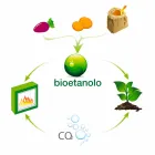 White Wall Bio Fireplace with Modern Design with Erica Glass Insert Viadurini