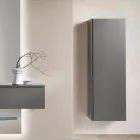 Lacquered Melamine Coat Rack with MDF Door and Internal Shelf - Lunis Viadurini