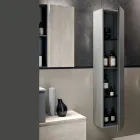 Bathroom Composition with 2 Drawers, Wall Cabinet, Column and Mirror - Titan Viadurini