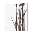 Composition of 4 Panels with Hydrangeas, Allium and Thypha Made in Italy - Calculation Viadurini