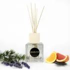 Pack of 2 Home Fragrances Assorted Fragrances 500 ml each. with sticks Viadurini