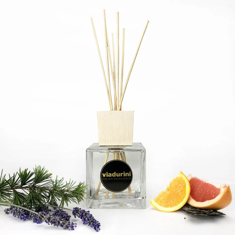 Pack of 2 Home Fragrances Assorted Fragrances 500 ml each. with sticks Viadurini