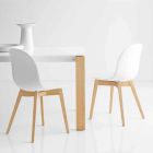 Connubia Calligaris Academy basic design chair in solid wood, 2 pieces Viadurini