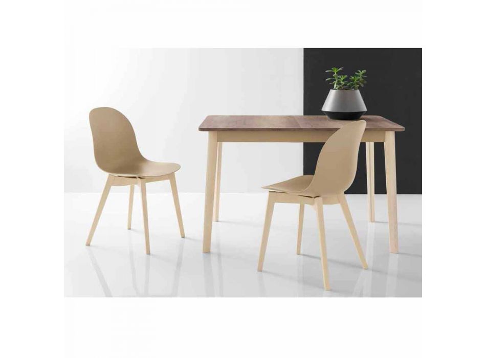 Connubia Calligaris Academy basic design chair in solid wood, 2 pieces Viadurini