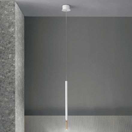 Modern Suspension Lamp with LED Light in Painted Metal - Larch Viadurini
