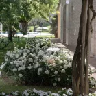 Garden Floor Lamp Aluminum White Design with Water Lily Leaf - Cipriam Viadurini