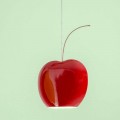 Suspended Ceramic Lamp in Cherry - Fruits Aldo Bernardi