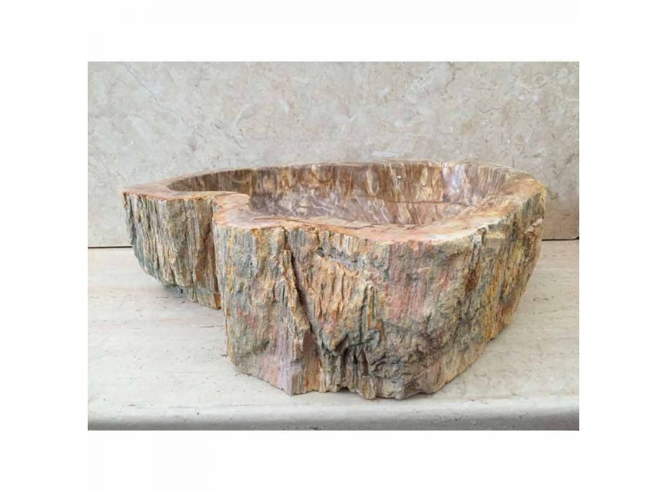 Design bathroom sink in fossil wood Star mini, unique piece