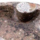 Marble Countertop Washbasin with Fossils - Burgeo Viadurini