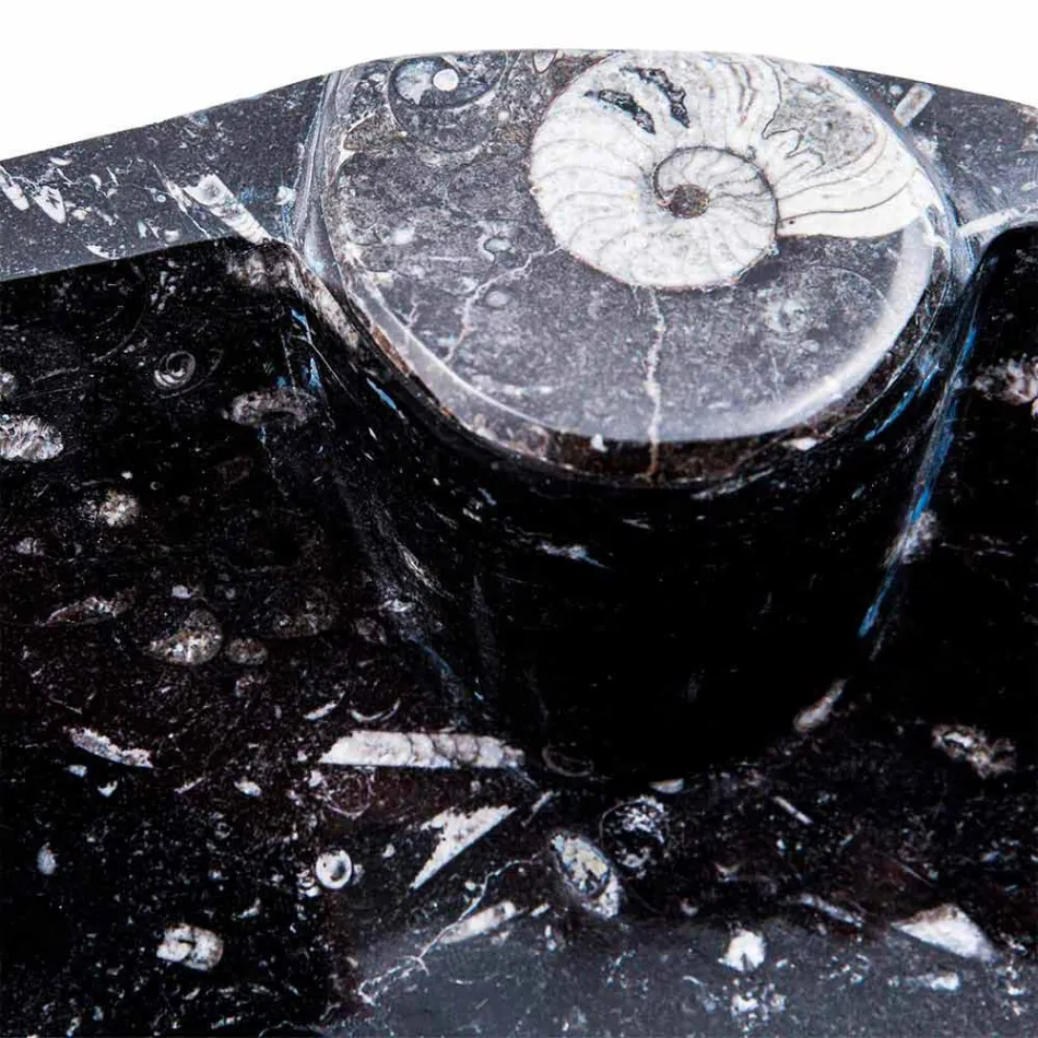 Modern Marble Countertop Sink with Fossils - Burgeo Viadurini