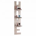 Wall-mounted bookcase Olga, 3 shelves, modern design made in Italy