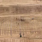 Sideboard in Acacia Wood and Steel 2 Doors and 3 Drawers Homemotion - Aimune Viadurini