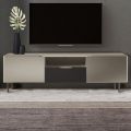 TV Cabinet with 2 Doors and 1 Drawer in Nickel and Carbon Finish - Inga