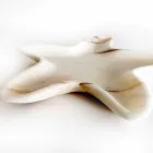 Modern Marble Saucer in the Shape of a Starfish Made in Italy - Ticcio Viadurini