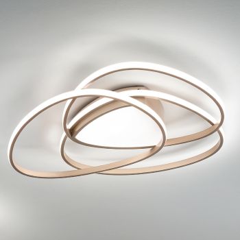 Ceiling Lamp LED Wall Lamp in Gold or Silver Finish Metal - Rosella