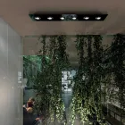 Ceiling Light with Flat Glass Plate with Lowerings - Kora Viadurini