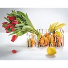 Modern Colored Plexiglass Fruit Bowl Made in Italy - Multifruits Viadurini