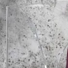 Umbrella Stand in Transparent Laser Decorated Acrylic Crystal - Versio Viadurini