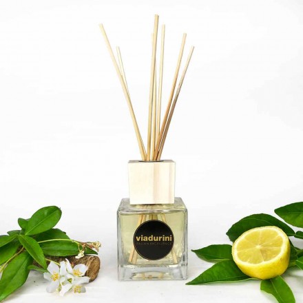 Leather Fragrance Room Perfumer 200 ml with Sticks - Lavecchiavenezia Viadurini
