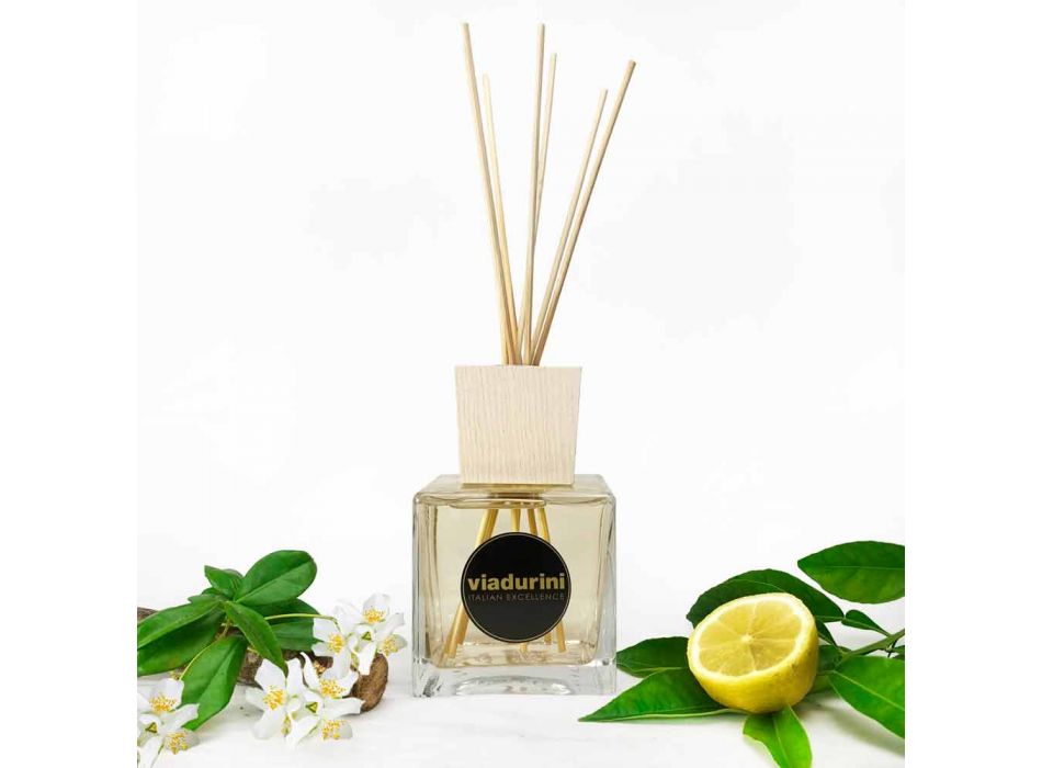 Leather Fragrance Room Air Freshener 500 ml with Sticks - Lavecchiavenezia Viadurini