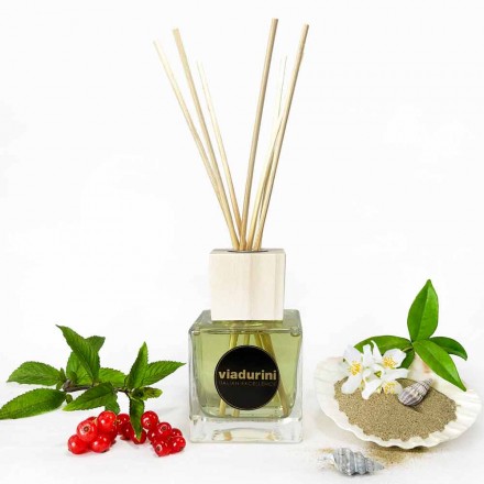 Ambient Fragrance Vanilla and Mou 200 ml with Sticks - Sabbiedelsalento Viadurini