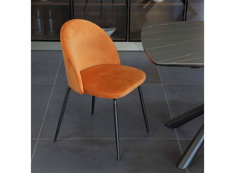 Living Room Chair with Seat and Legs in Different Finishes - Chandra Viadurini