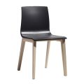 Living Room Chair in Technopolymer and Wood Made in Italy 2 Pieces - Quadra