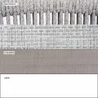 Outdoor Chair with Armrests Stackable Upholstered H 78cm - Smart by Varaschin Viadurini