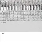 Outdoor Chair with Armrests Stackable Upholstered H 78cm - Smart by Varaschin Viadurini