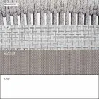 Outdoor Chair with Armrests Stackable Upholstered H 78cm - Smart by Varaschin Viadurini