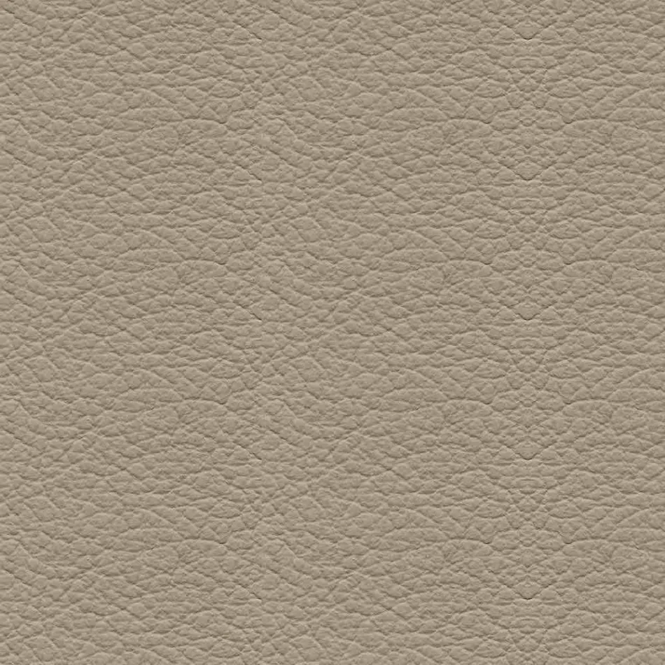 Padded Dining Room Chair with Lacquered Steel Base – Granella Viadurini