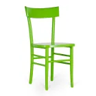 Modern design 4-piece beech wood chair - Stella Viadurini