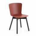Polypropylene Chair with Stained Oak Base Made in Italy, 2 Pieces - Scandio
