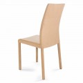 Modern design chair, made in Italy, Jamila, for dining room 