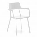 Modern Wooden Chair with Painted Metal Structure, 4 Pieces - Habibi