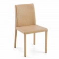 Modern chair for dining room on design Jamila, handmade in Italy