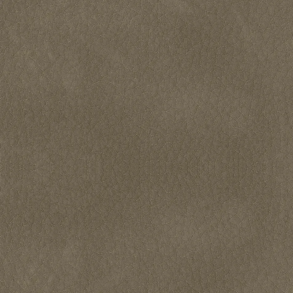 Dining Room Chair Covered in Ecoleather Made in Italy - Giulia Viadurini