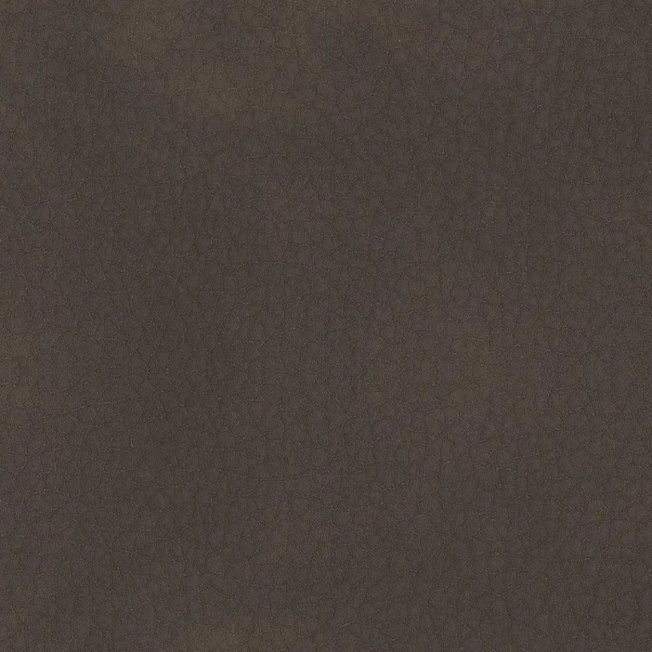 Dining Room Chair Covered in Ecoleather Made in Italy - Giulia Viadurini