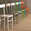 Modern design dining chair made of beech wood 4 pieces - Stella