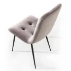 Stain-resistant Velvet Upholstered Dining Room Chair, 4 Pieces - Kylie Viadurini