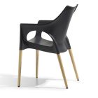 Living Room Chair in Polypropylene and Wood Made in Italy 4 Pieces - Lucciola Viadurini