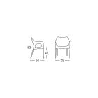 Living Room Chair in Polypropylene and Wood Made in Italy 4 Pieces - Lucciola Viadurini