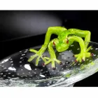 Small Tray with Glass Frog Ornament Made in Italy - Sossio Viadurini