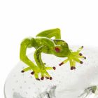 Small Tray with Glass Frog Ornament Made in Italy - Sossio Viadurini