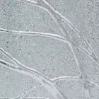 Rectangular wall mirror made of fir wood made in Italy Achille Viadurini