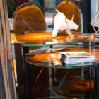 Low design coffee table with glass top and Bigo wood Viadurini