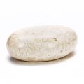 Oval Coffee Table in White Fossil Stone - Alfred
