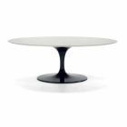 Oval Coffee Table in Laminate and Aluminum Made in Italy - Dollars Viadurini